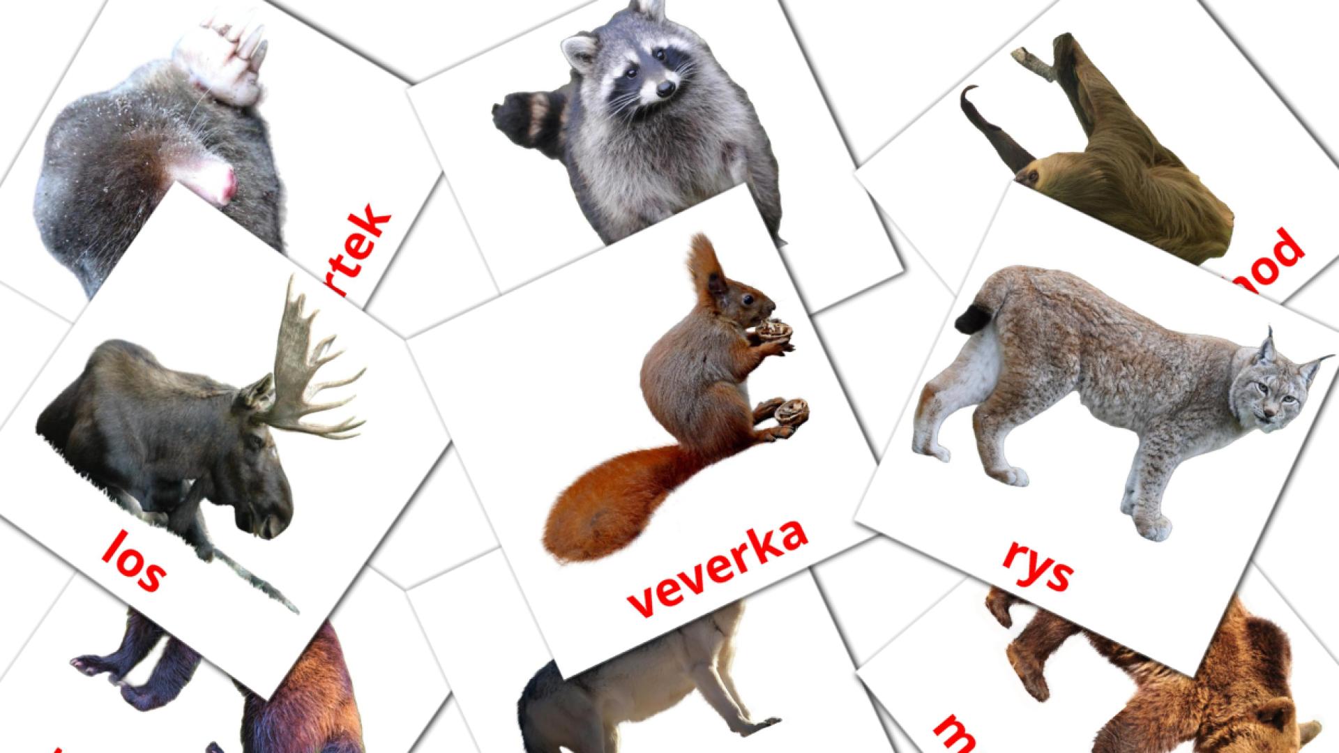 Bildkarten für Lesní zvířata