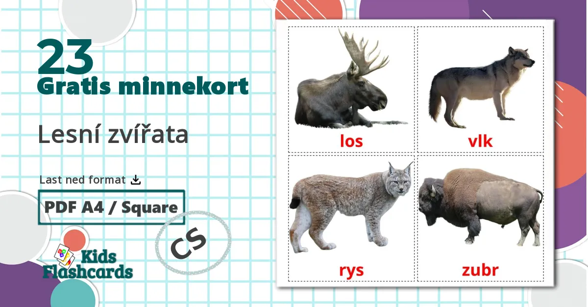 23 Lesní zvířata bildekort