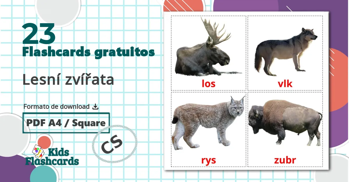 23 Flashcards de Lesní zvířata