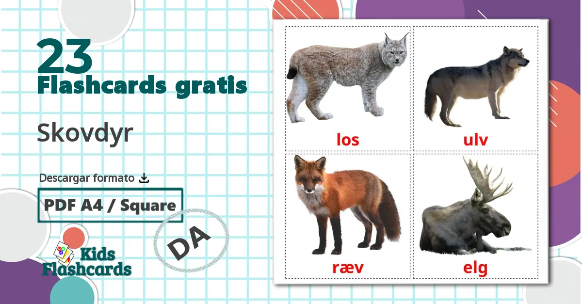 23 tarjetas didacticas de Animales del Bosque