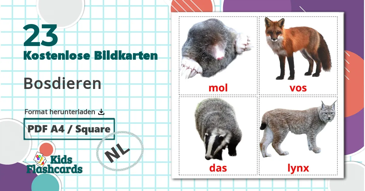 23 Bildkarten für Bosdieren