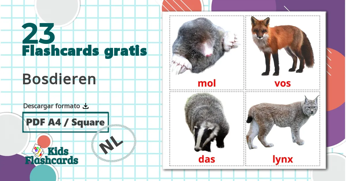 23 tarjetas didacticas de Bosdieren