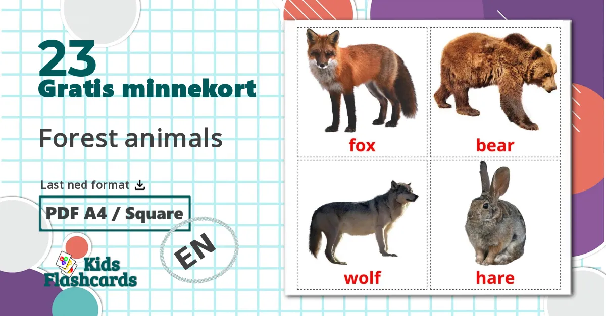 23 Forest animals bildekort