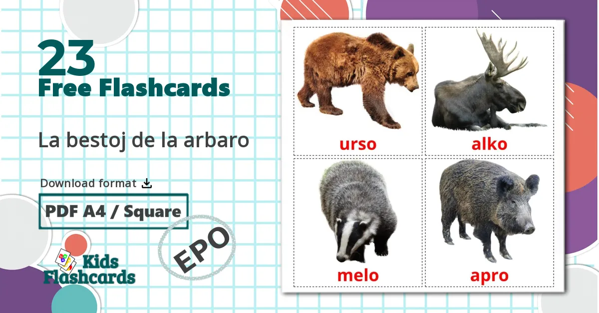 23 La bestoj de la arbaro flashcards