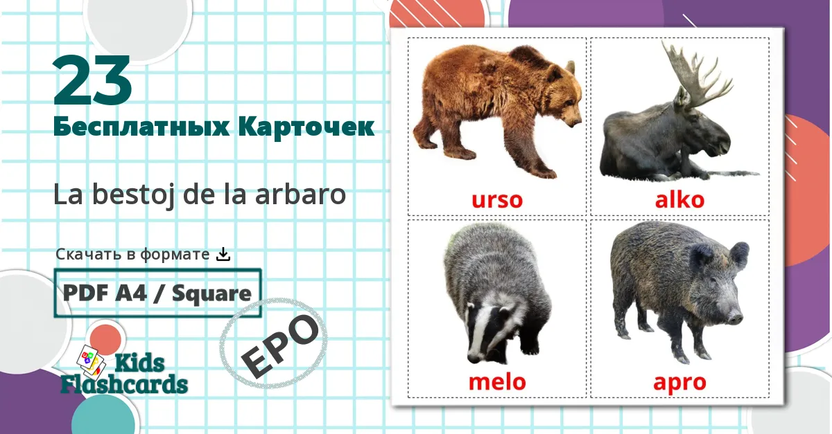 23 Карточки Домана Лесные животные