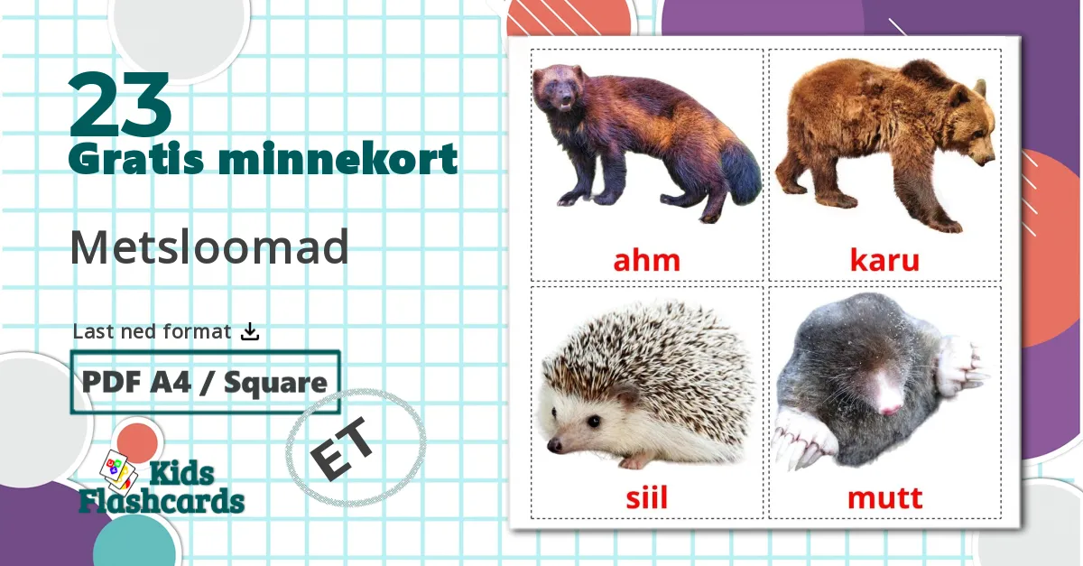 23 Metsloomad bildekort