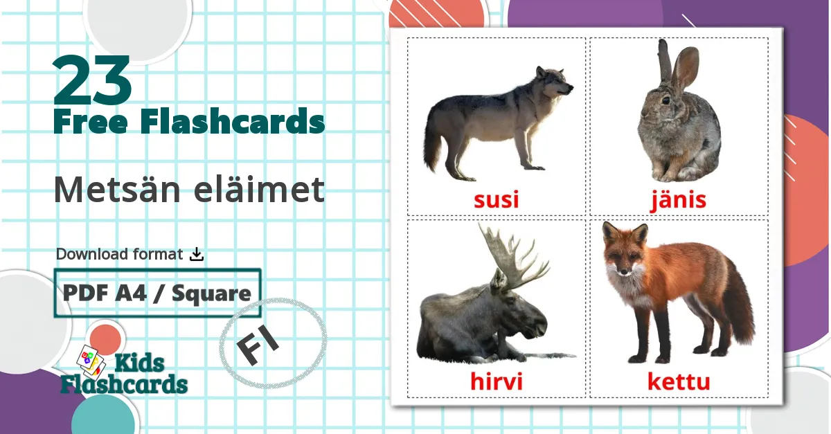 23 Metsän eläimet flashcards