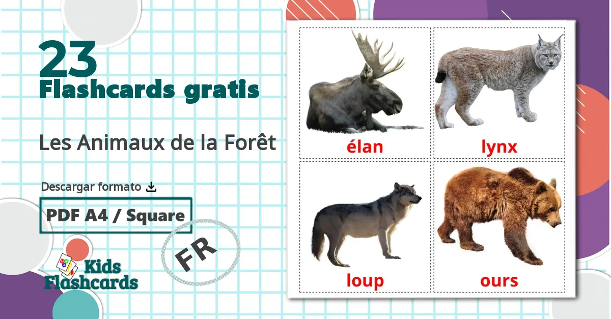 23 tarjetas didacticas de Les Animaux de la Forêt