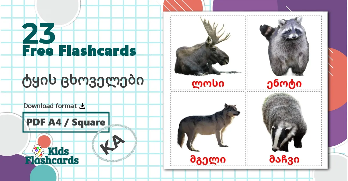 23 Forest animals flashcards