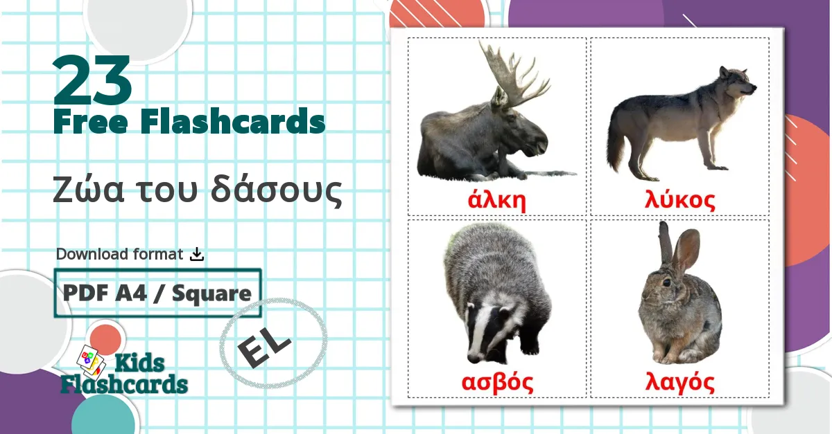 23 Forest animals flashcards