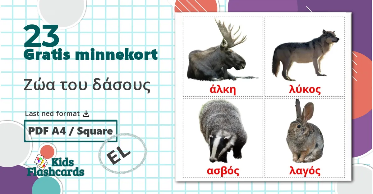 23 skogdyr bildekort