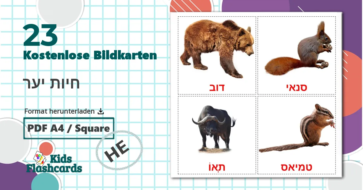 23 Bildkarten für חיות יער