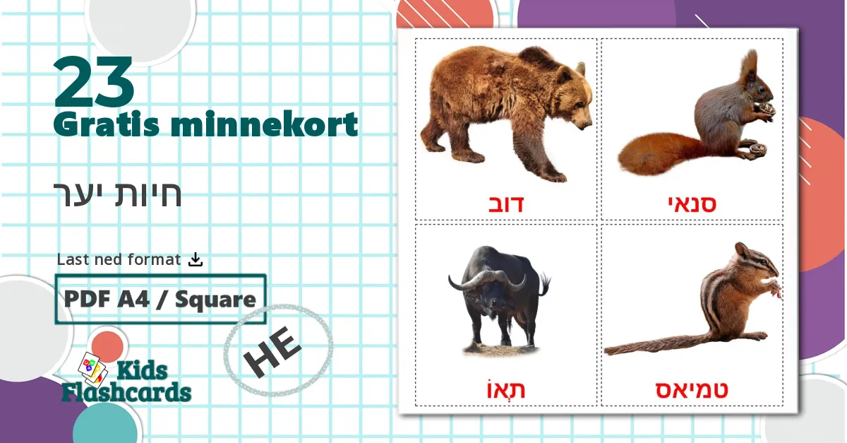 23 חיות יער bildekort