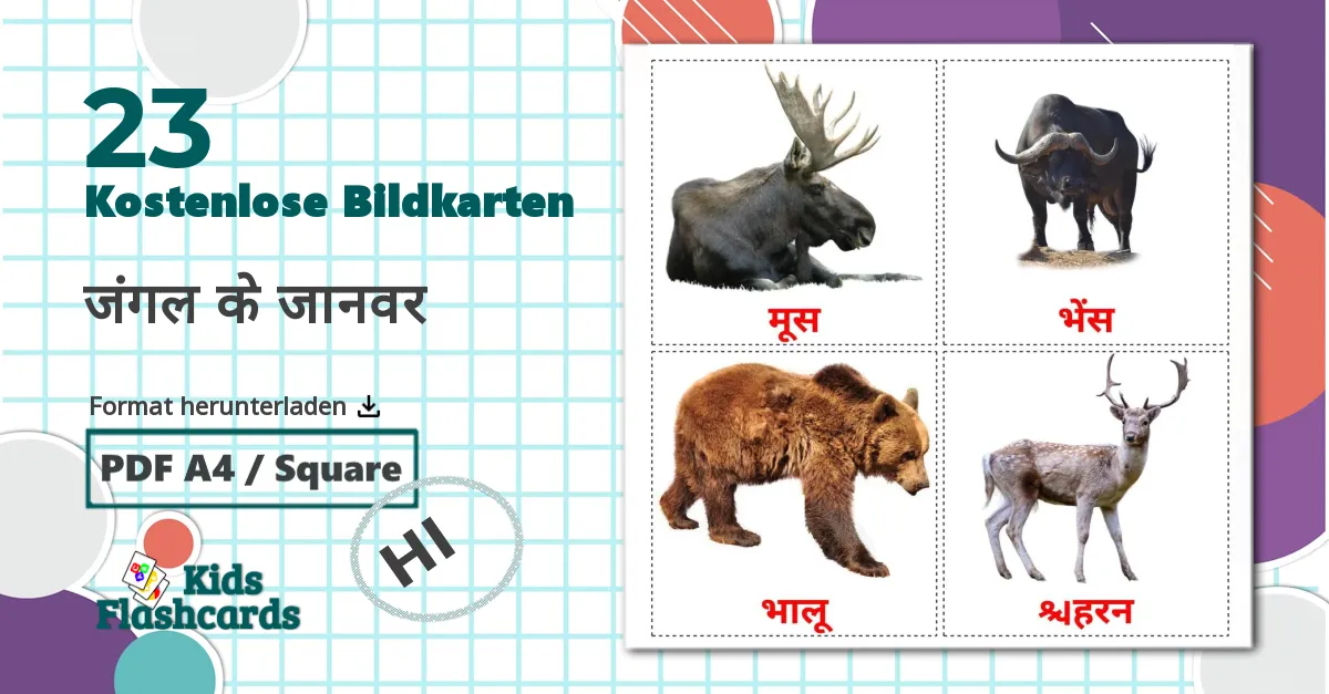 23 Bildkarten für जंगल के जानवर