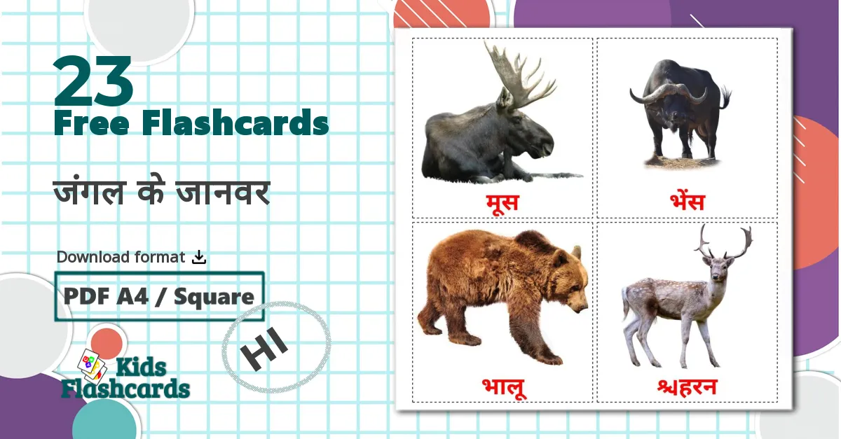 23 जंगल के जानवर flashcards