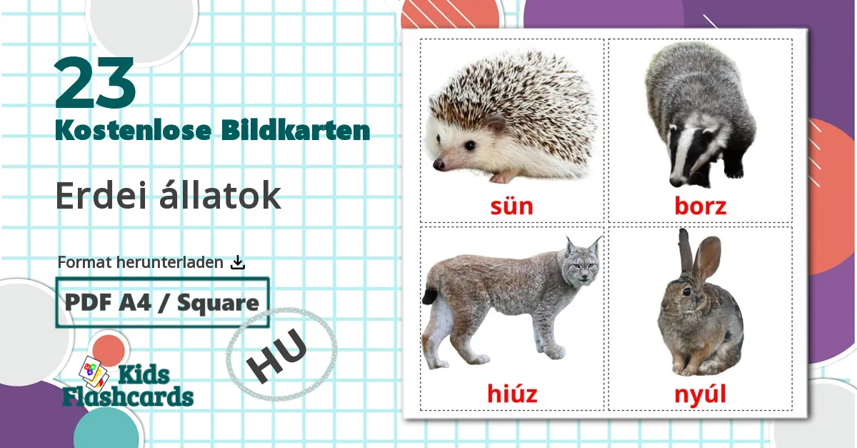 23 Bildkarten für Erdei állatok