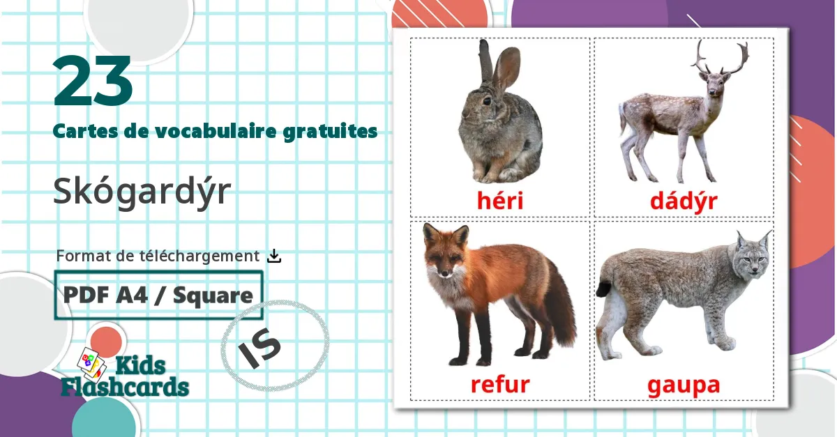 23 Imagiers Les Animaux de la Forêt