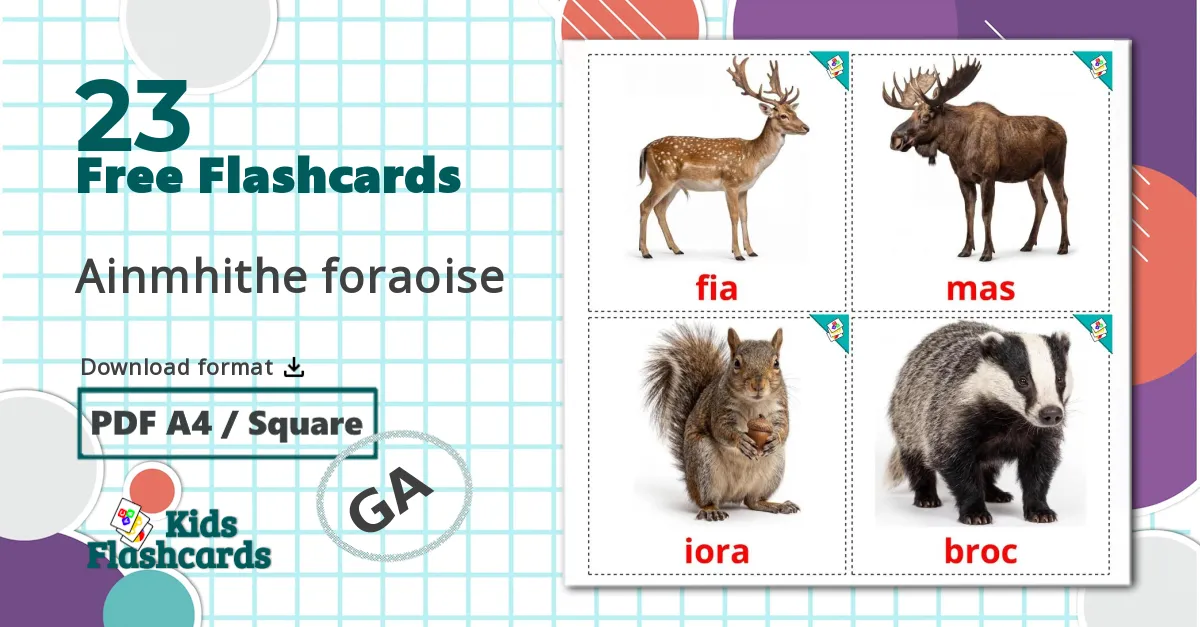 23 Forest animals flashcards