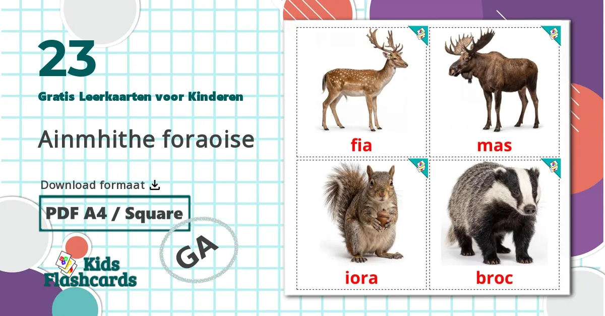 23 Bosdieren Leerkaarten voor kinderen