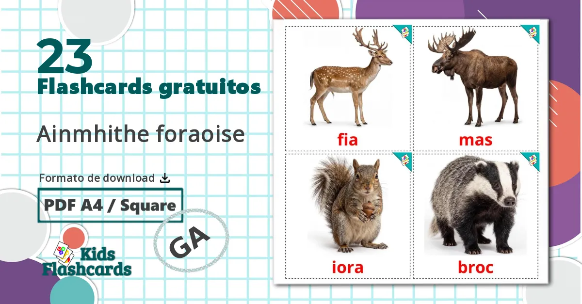 23 Flashcards de Animais da Floresta