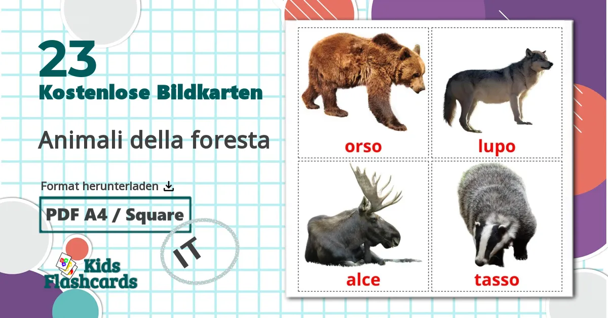 23 Bildkarten für Animali della foresta