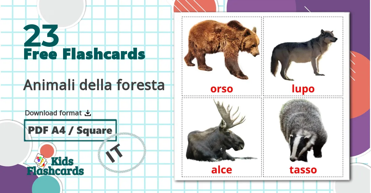 23 Animali della foresta flashcards