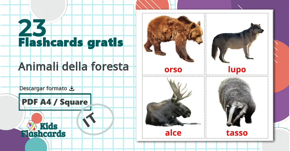 23 tarjetas didacticas de Animali della foresta