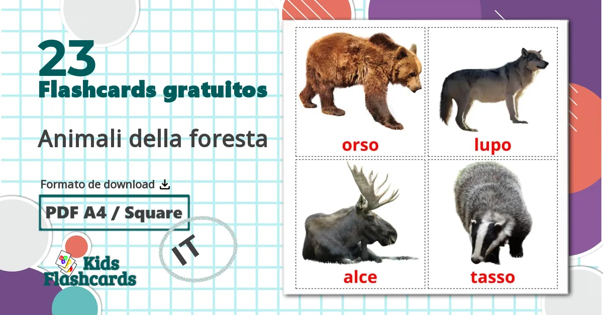 23 Flashcards de Animali della foresta