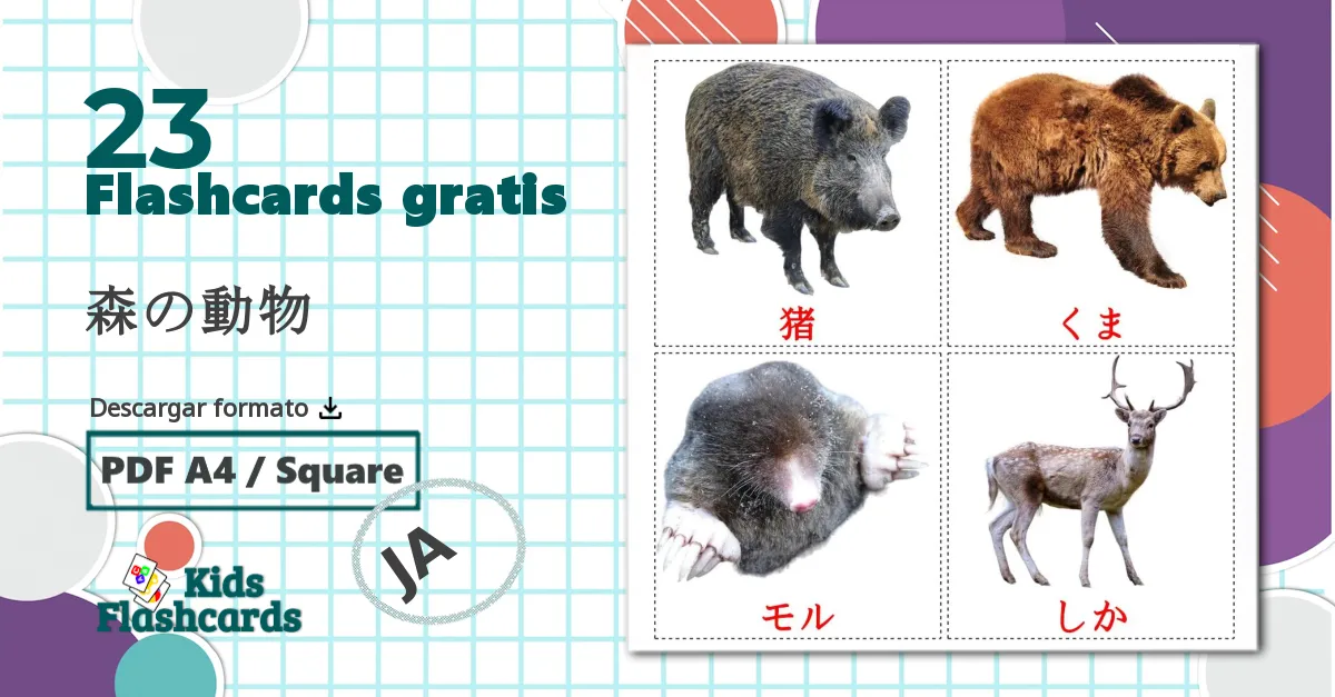 23 tarjetas didacticas de 森の動物