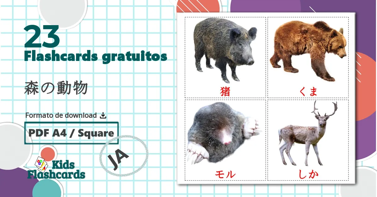 23 Flashcards de 森の動物