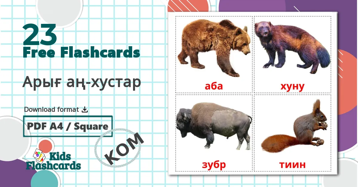 23 Арығ аң-хустар flashcards