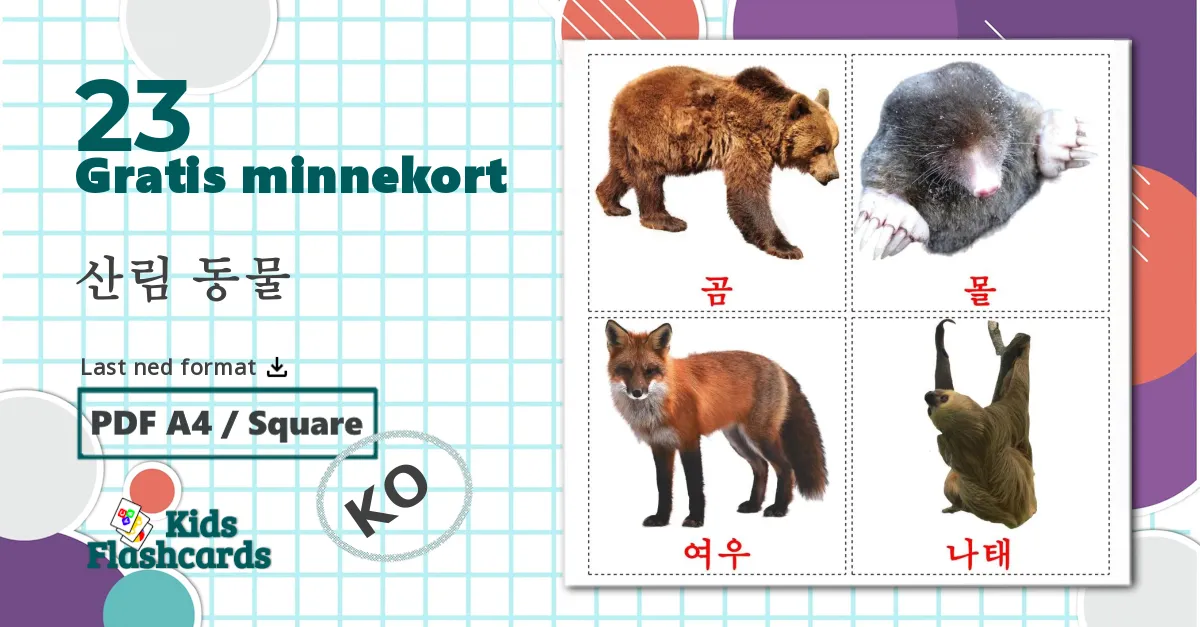 23 산림 동물 bildekort