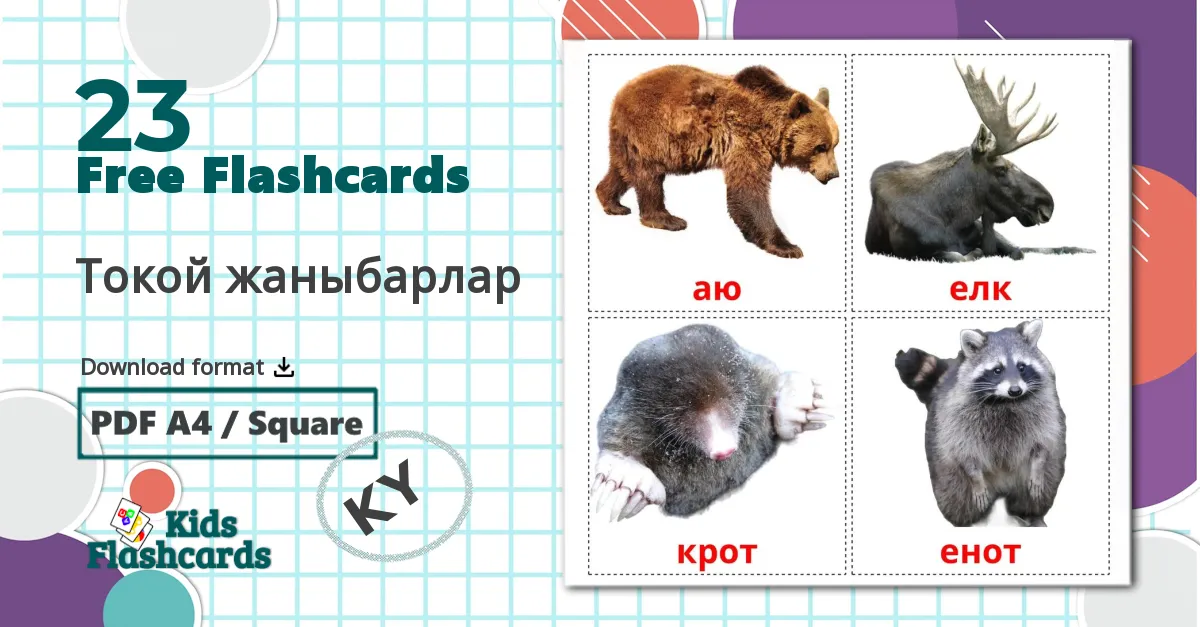 23 Токой жаныбарлар flashcards