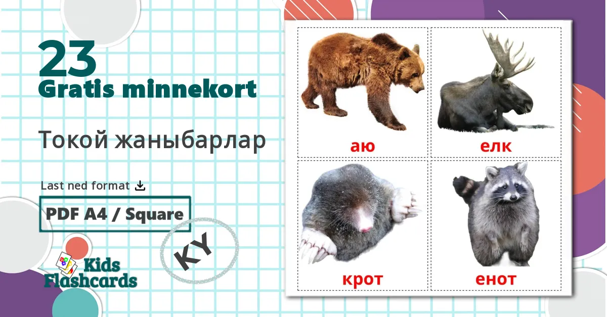 23 Токой жаныбарлар bildekort
