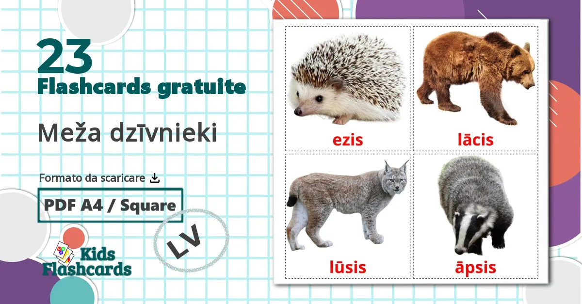 23 flashcards di Meža dzīvnieki