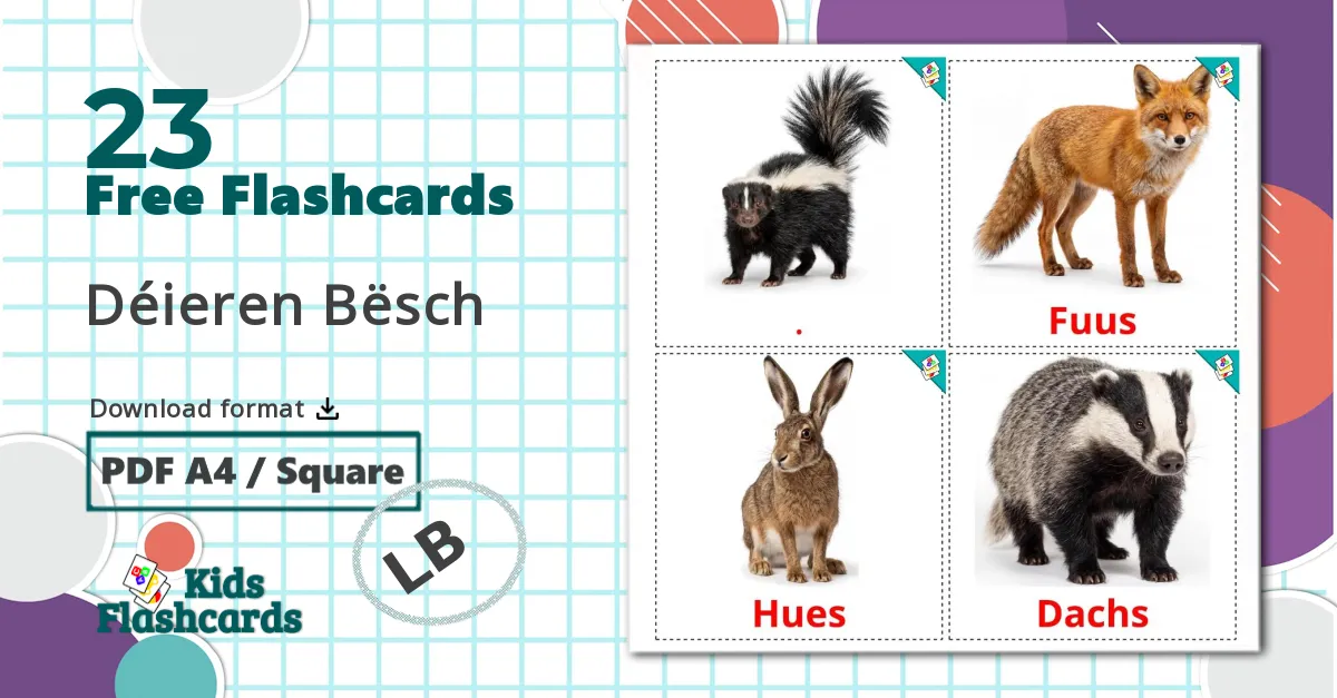 23 Forest animals flashcards