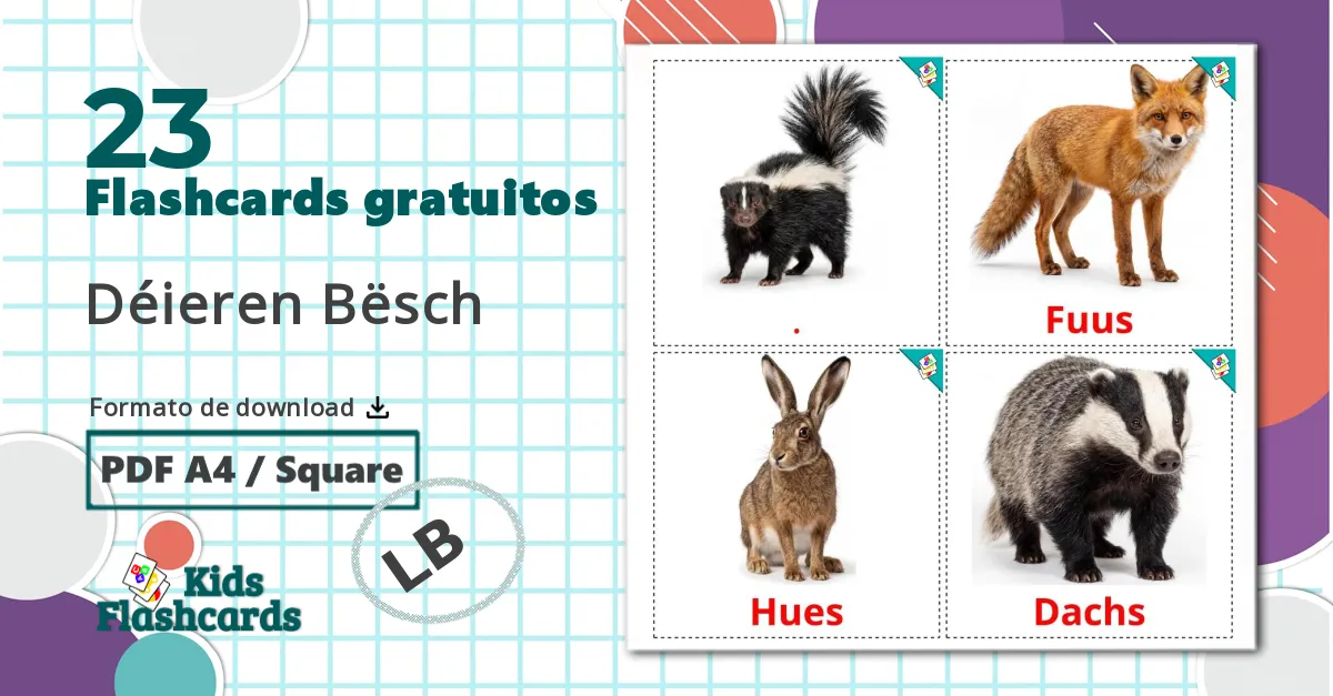 23 Flashcards de Animais da Floresta