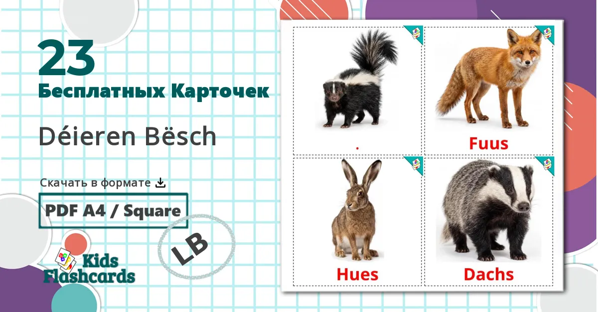 23 Карточки Домана Лесные животные