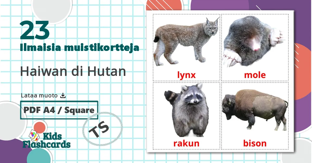 23 Haiwan di Hutan lasten kuvakortit