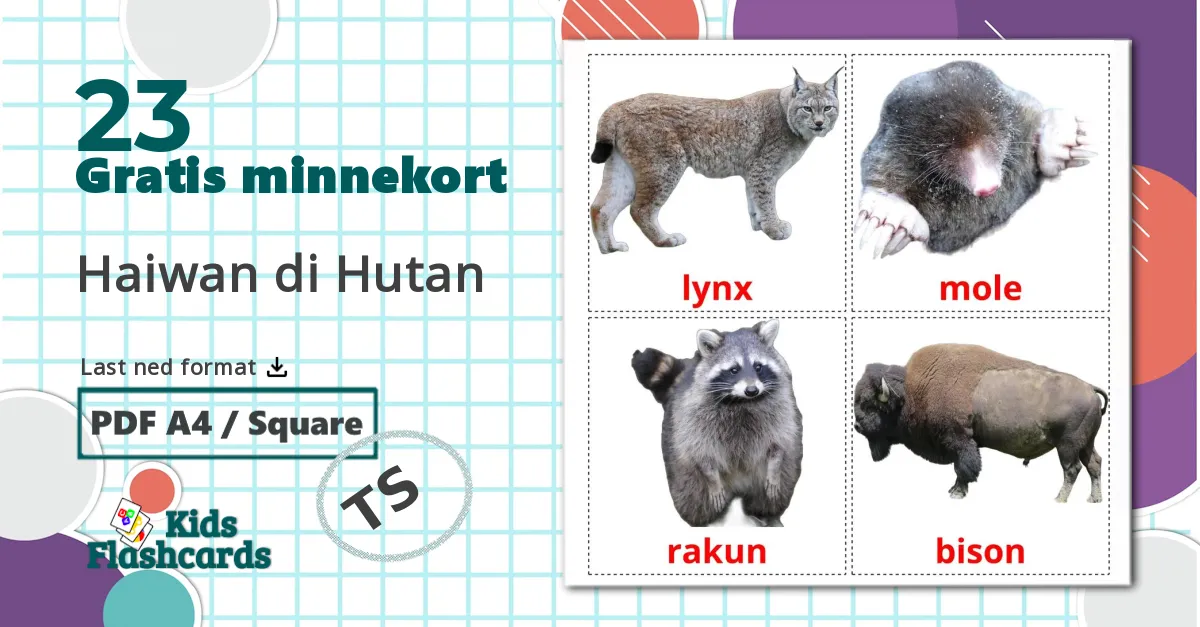 23 skogdyr bildekort