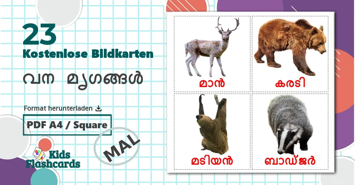 23 Bildkarten für വന മൃഗങ്ങൾ