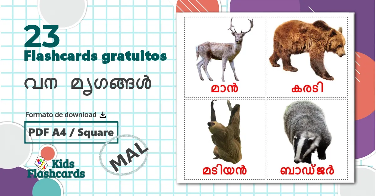 23 Flashcards de Animais da Floresta