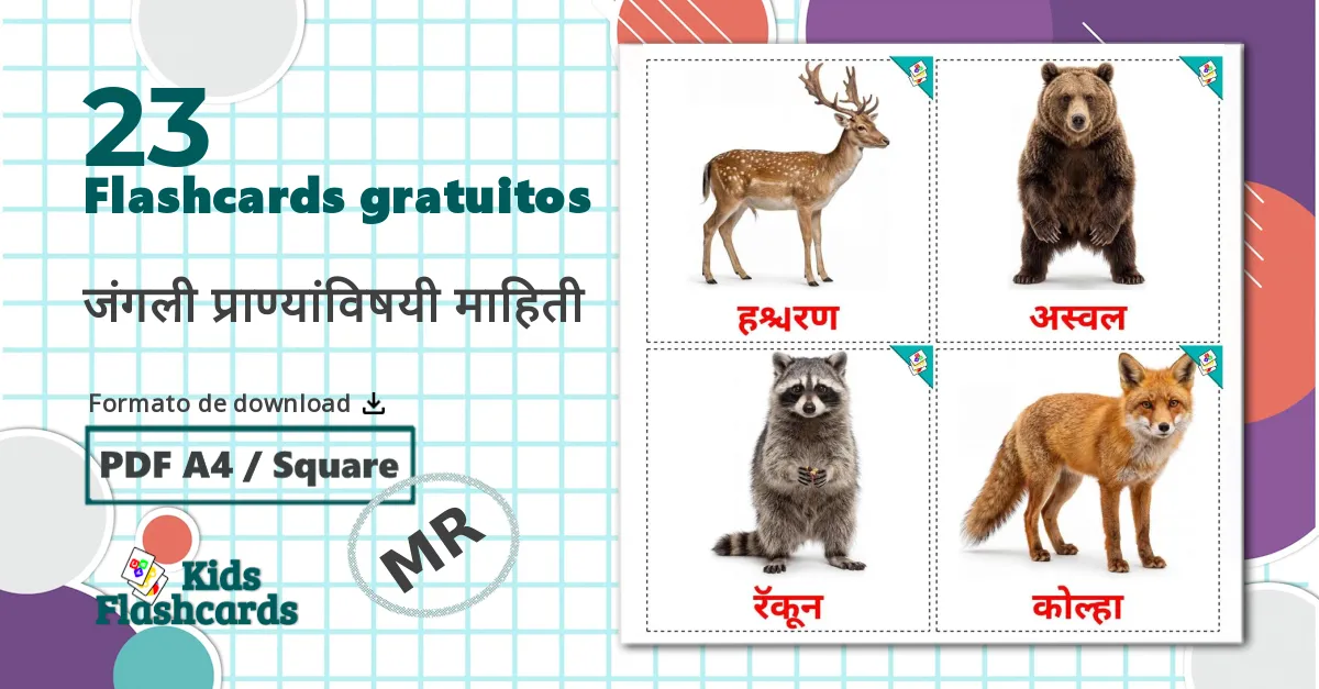 23 Flashcards de Animais da Floresta