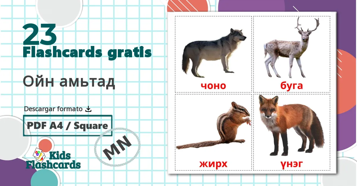 23 tarjetas didacticas de Animales del Bosque