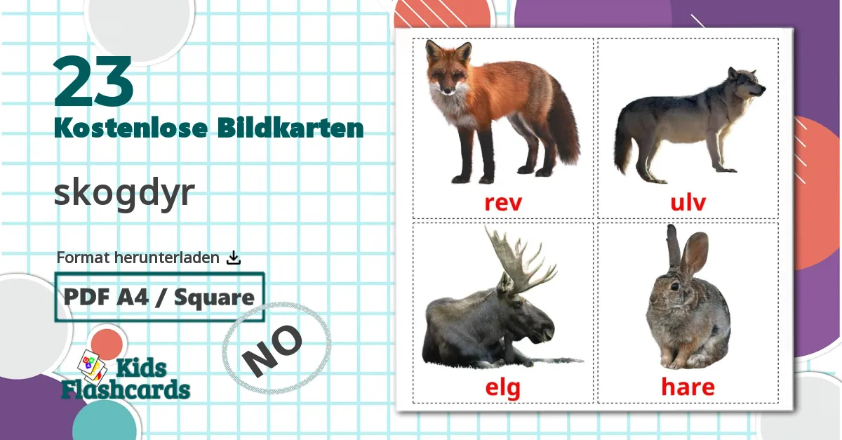 23 Bildkarten für skogdyr