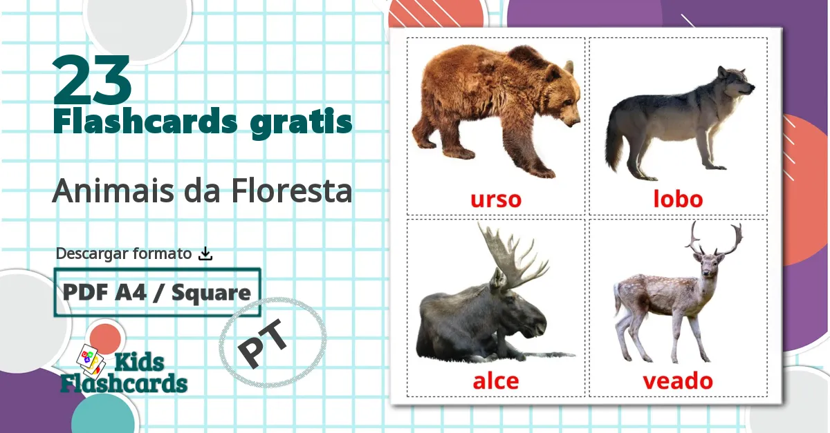 23 tarjetas didacticas de Animales del Bosque