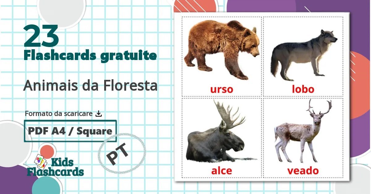 23 flashcards di Animais da Floresta