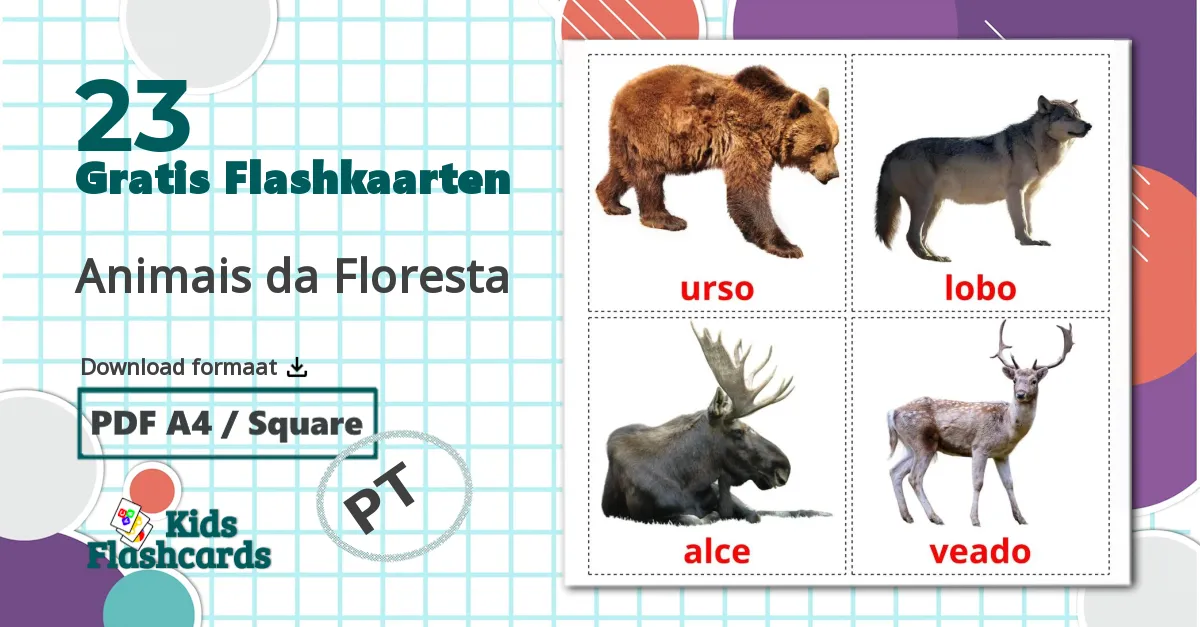 23 Animais da Floresta flashcards