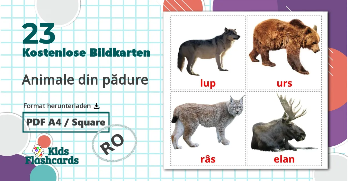 23 Bildkarten für Animale din pădure