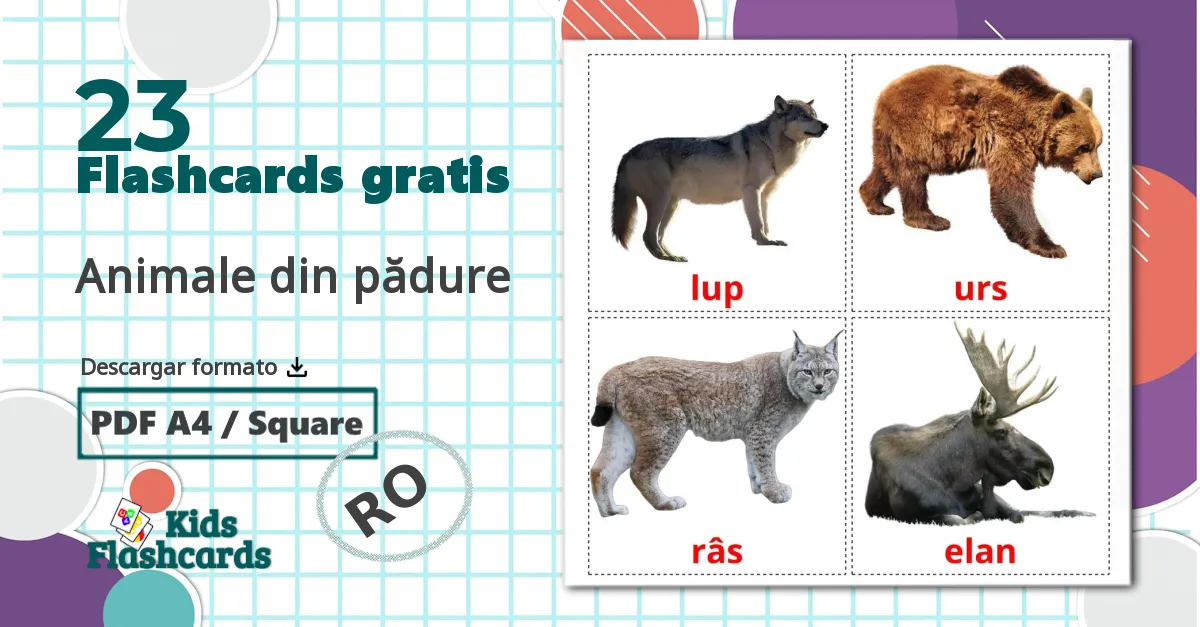 23 tarjetas didacticas de Animale din pădure